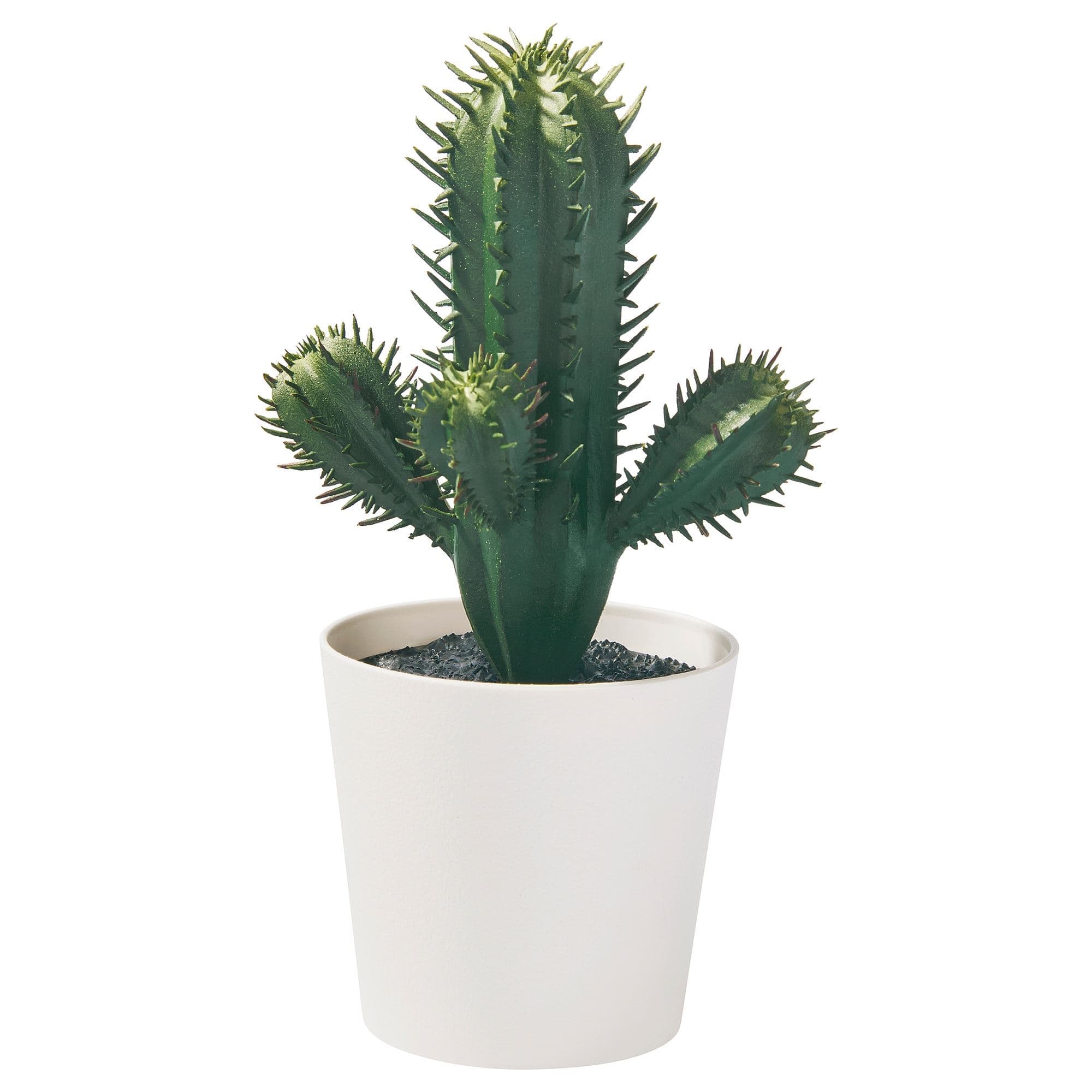 6 Cm Yapay Bitki - Yeşil 6 cm Bitki Türü kaktüs Ek Bilgi iç/dış mekan